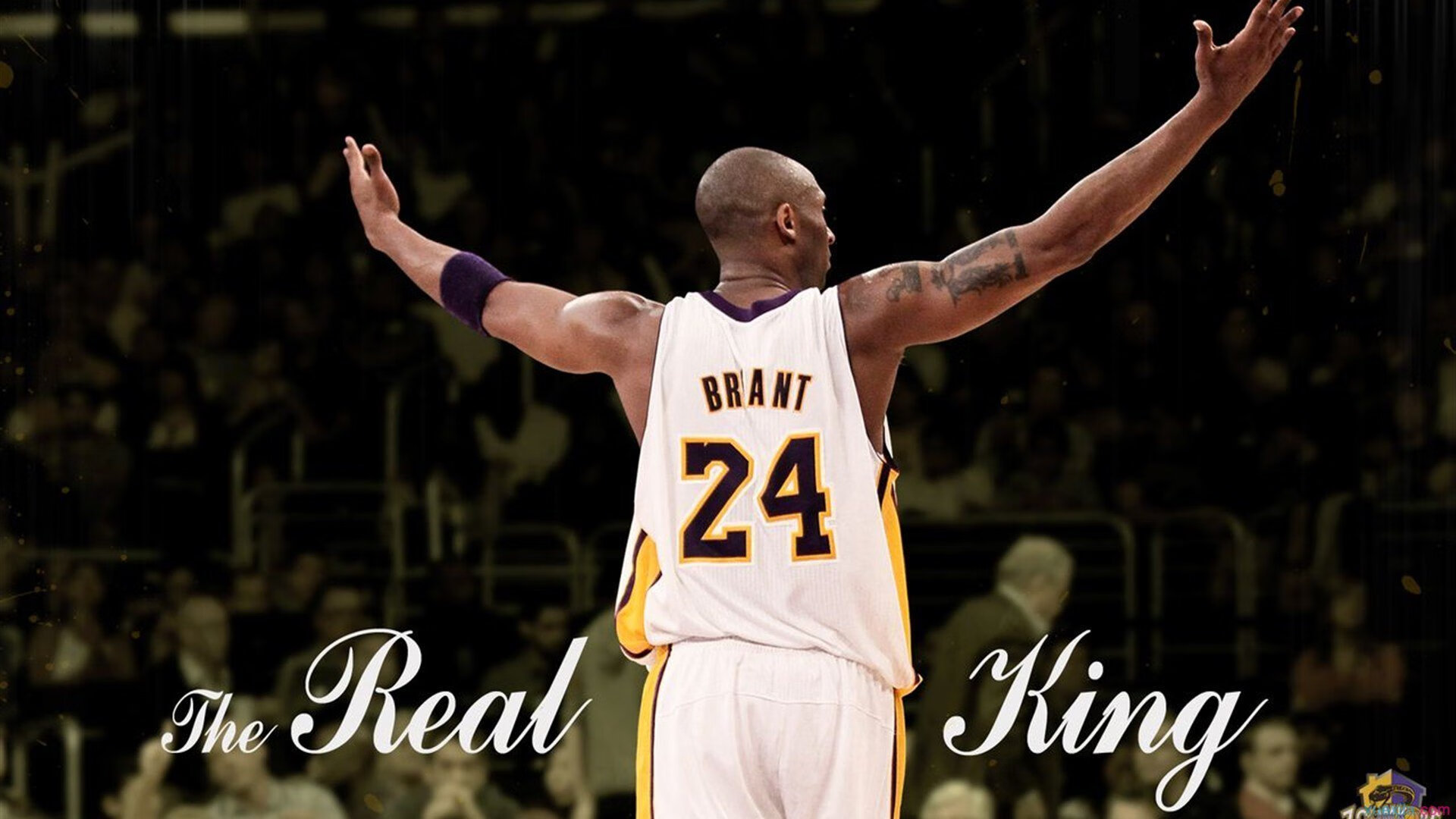 传奇再续!老将用精彩表现续写历史篇章,传奇仍在续写